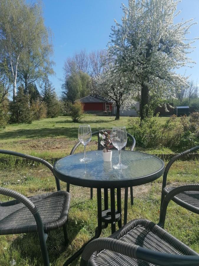 Ferienwohnung IV Sarrebriese Wanzleben-Borde Buitenkant foto
