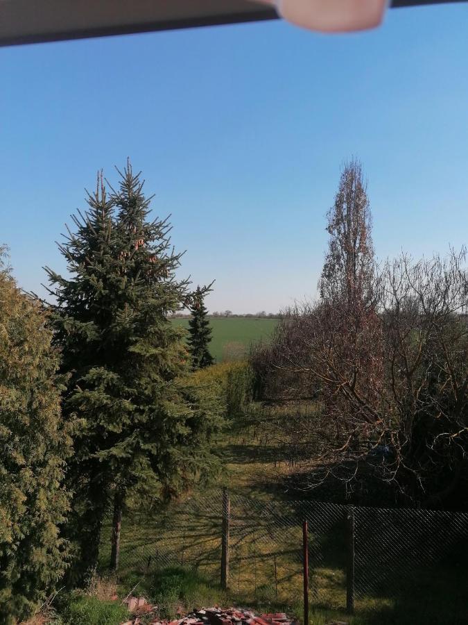 Ferienwohnung IV Sarrebriese Wanzleben-Borde Buitenkant foto